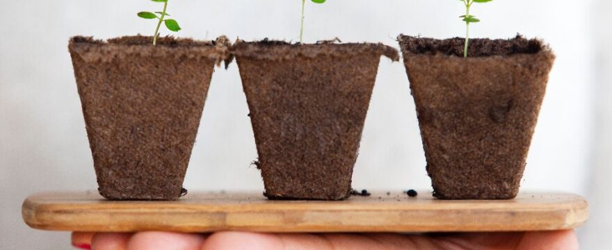 growing your organisation