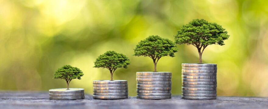 Four stacks of silver coins arranged from shortest to tallest, each topped with a progressively larger tree, set against a blurred green background. The image symbolises financial growth, sustainability, and long-term resilience.