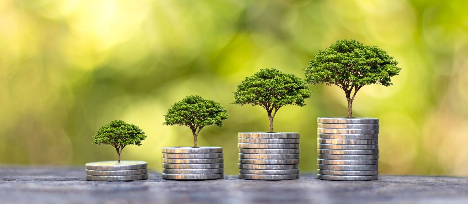 Four stacks of silver coins arranged from shortest to tallest, each topped with a progressively larger tree, set against a blurred green background. The image symbolises financial growth, sustainability, and long-term resilience.